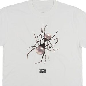 Doja Cat scarlet tour